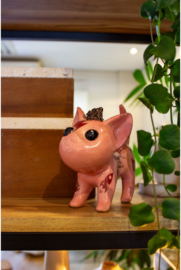 Miau Ziggy -6-.jpg